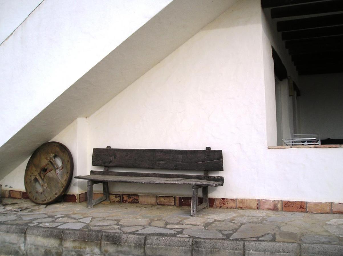 El Olivar De Roche Viejo 콘일데라프론테라 외부 사진