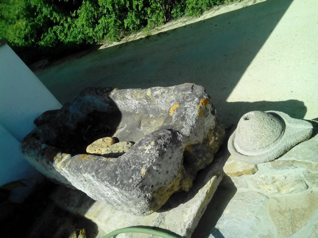 El Olivar De Roche Viejo 콘일데라프론테라 외부 사진